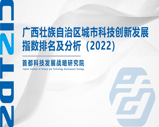 色日乱插视频【成果发布】广西壮族自治区城市科技创新发展指数排名及分析（2022）